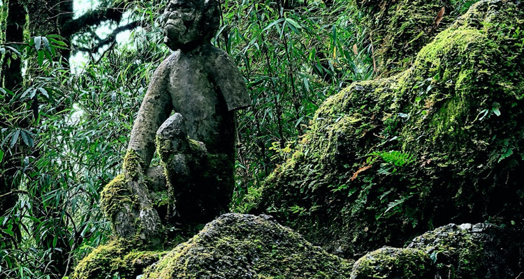 【徒步华夏秋冬特辑 · 哀牢山站】哀牢山秘境徒步+石门峡徒步+元阳梯田徒步+哀牢山日出+多依树日出+南恩瀑布+建水古城+摄影师跟拍+5日徒步