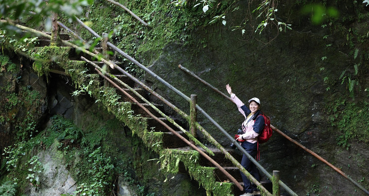 【徒步华夏秋冬特辑 · 哀牢山站】哀牢山秘境徒步+石门峡徒步+元阳梯田徒步+哀牢山日出+多依树日出+南恩瀑布+建水古城+摄影师跟拍+5日徒步