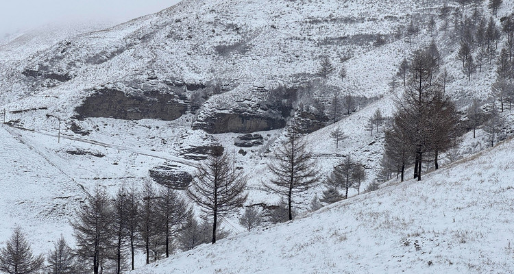 【北京一周一山·麻田岭】探秘童话森林雪景+置身于北方的林海雪原+冬日徒步体验感满分！