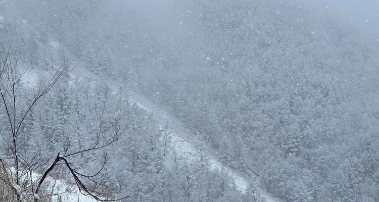 【北京一周一山·麻田岭】探秘童话森林雪景+置身于北方的林海雪原+冬日徒步体验感满分！
