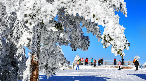 【南方雪国·地道神农4日】宜昌+神农坛+神农顶+木鱼镇+国际滑雪场+官门山+天生桥+宜昌解散+感受冬季神农架银装素裹的仙境画卷+4天3晚+8人精品团+2-8人私家团