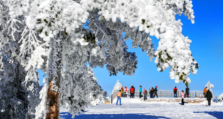 【南方雪国·地道神农4日】宜昌+神农坛+神农顶+木鱼镇+国际滑雪场+官门山+天生桥+宜昌解散+感受冬季神农架银装素裹的仙境画卷+4天3晚+8人精品团+2-8人私家团