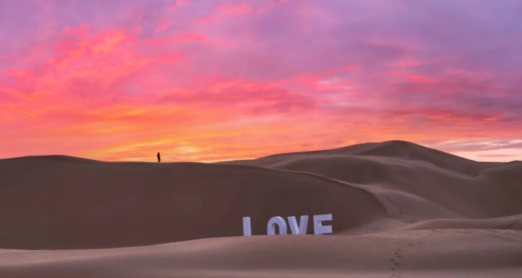 【初见内蒙·畅游沙漠3日】库布齐07沙漠公路+越野车深度穿越+畅玩响沙湾+光伏森林+特色骆驼宴+美岱召+内蒙古博物院+38人舒适团