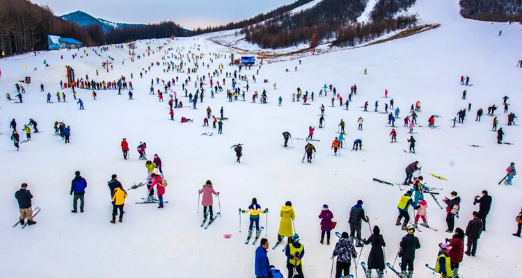 【南方雪国·地道神农4日】宜昌+神农坛+神农顶+木鱼镇+国际滑雪场+官门山+天生桥+宜昌解散+感受冬季神农架银装素裹的仙境画卷+4天3晚+8人精品团+2-8人私家团