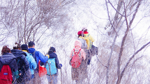 【北京一周一山·北灵山】打卡京郊”阿勒泰“+踏浪高山草甸+邂逅云海+开启狂欢派对~