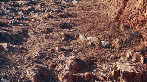 【北京一周一山·苦梨峪】徒步苦梨峪+探索山林秘境+领略山野步道的韵味与乐趣~