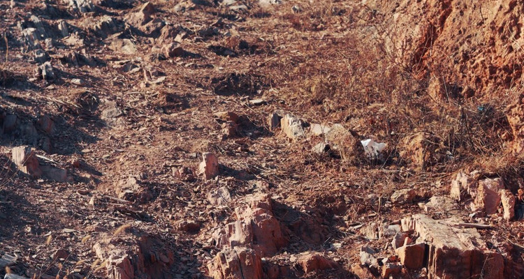 【北京一周一山·苦梨峪】徒步苦梨峪+探索山林秘境+领略山野步道的韵味与乐趣~
