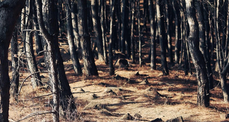 【北京一周一山·苦梨峪】徒步苦梨峪+探索山林秘境+领略山野步道的韵味与乐趣~