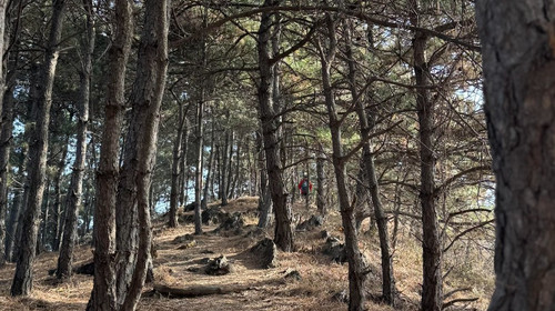 【北京一周一山·苦梨峪】徒步苦梨峪+探索山林秘境+领略山野步道的韵味与乐趣~