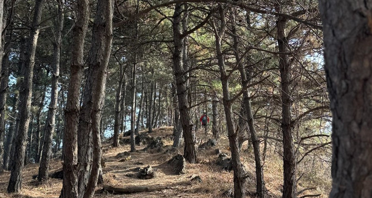 【北京一周一山·苦梨峪】徒步苦梨峪+探索山林秘境+领略山野步道的韵味与乐趣~