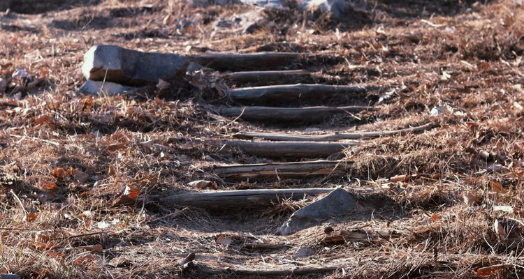 【北京一周一山·苦梨峪】徒步苦梨峪+探索山林秘境+领略山野步道的韵味与乐趣~