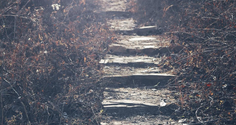 【北京一周一山·苦梨峪】徒步苦梨峪+探索山林秘境+领略山野步道的韵味与乐趣~