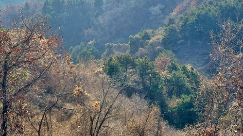 【北京一周一山·苦梨峪】徒步苦梨峪+探索山林秘境+领略山野步道的韵味与乐趣~