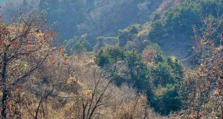 【北京一周一山·苦梨峪】徒步苦梨峪+探索山林秘境+领略山野步道的韵味与乐趣~