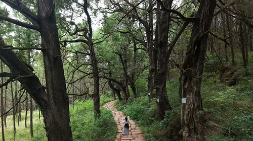 【千年蜀道·5日4晚】徒步43KM 梦回三国/ 打卡剑门关 +金牛古道 +汉阳古蜀道+翠云廊+昭化古城+千佛崖/2晚温泉酒店入住