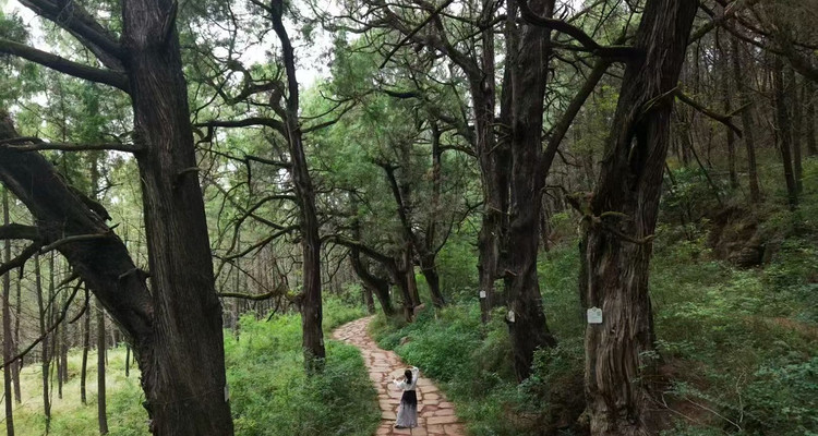 【千年蜀道·5日4晚】徒步43KM 梦回三国/ 打卡剑门关 +金牛古道 +汉阳古蜀道+翠云廊+昭化古城+千佛崖/2晚温泉酒店入住