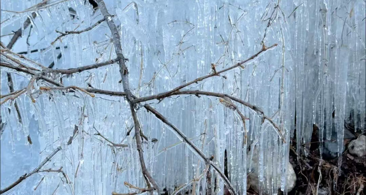 【北京一周一山·玉渡山冰雪】玉渡山冰雪奇遇 +打卡小众景点岔道古城+品延庆铁锅炖鱼+梦幻冬日，等你赴约~