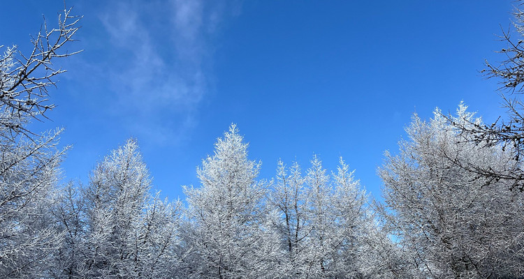 【北京一周一山·桦皮岭】漫步白桦林+打卡童话世界~
