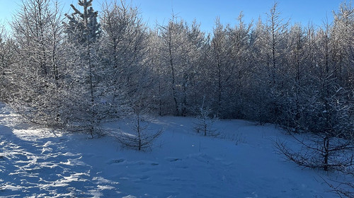 【北京一周一山·桦皮岭】漫步白桦林+打卡童话世界~