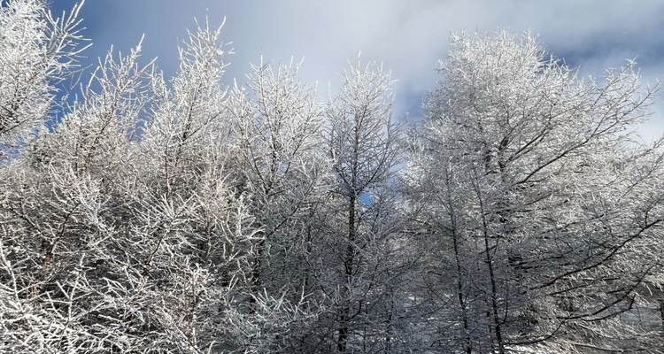 【北京一周一山·桦皮岭】漫步白桦林+打卡童话世界~
