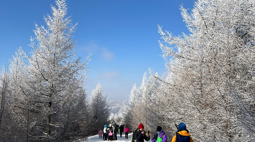 【北京一周一山·桦皮岭】漫步白桦林+打卡童话世界~