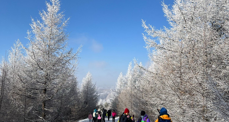 【北京一周一山·桦皮岭】漫步白桦林+打卡童话世界~