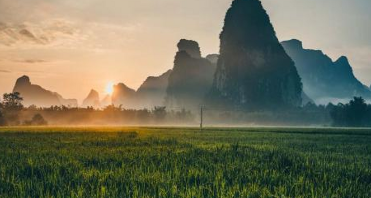 【遇见广西·崇左涠洲6日】涠洲岛+德天瀑布+北海银滩+古龙山大峡谷+峒那屿湾+银滩+侨港风情街+贝壳沙滩+天主教堂+鳄鱼山+滴水丹屏+出海追鲸+白头叶猴科考+石螺口海滩日落+2-8人小包团