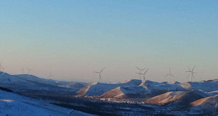 【北京一周一山·桦皮岭】漫步白桦林+打卡童话世界~