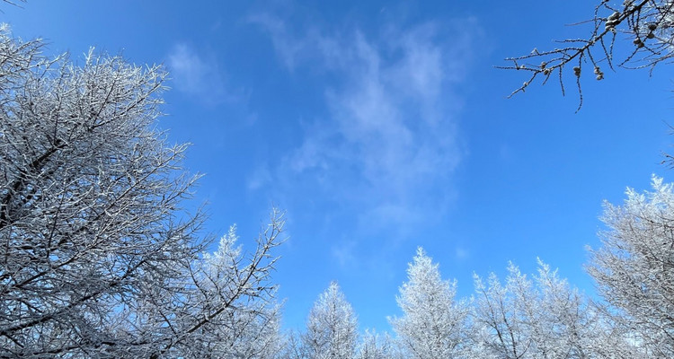 【北京一周一山·桦皮岭】漫步白桦林+打卡童话世界~