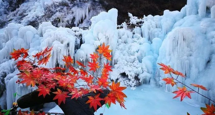 【北京一周一山·神泉峡冰瀑】打卡“北京小冰岛”+探索京西第一冰瀑神泉峡的冰雪秘境+感受冰雪中的浪漫~