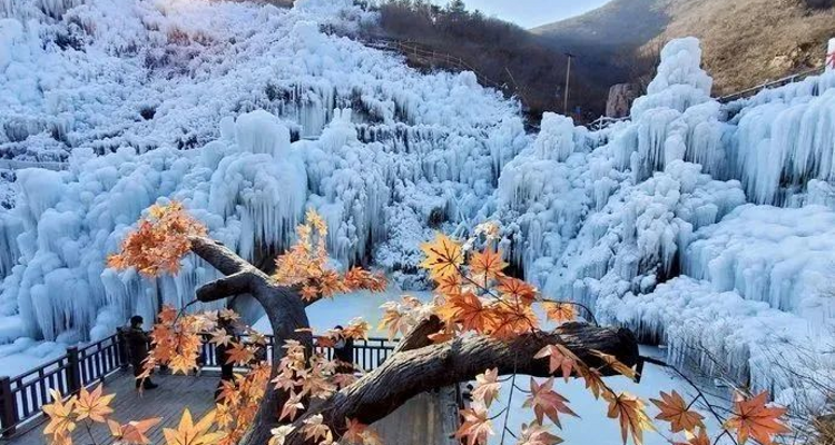 【北京一周一山·神泉峡冰瀑】打卡“北京小冰岛”+探索京西第一冰瀑神泉峡的冰雪秘境+感受冰雪中的浪漫~