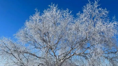 【北京一周一山·汗海梁】打卡塞北林海雪原+踏雪赏雾凇+徒步丈量冬日仙境~