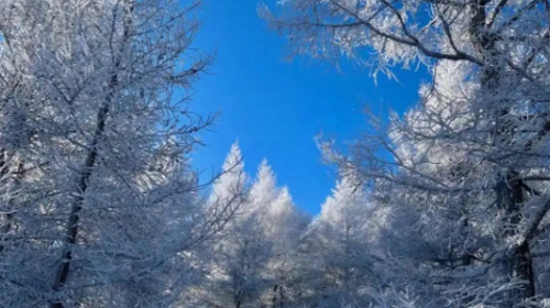 【北京一周一山·汗海梁】打卡塞北林海雪原+踏雪赏雾凇+徒步丈量冬日仙境~
