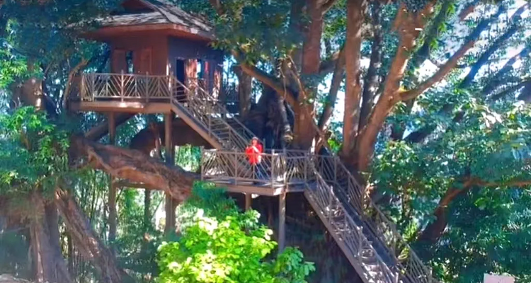 【又见云南 · 云南虫谷7日】哀牢山秘境+翁丁原始部落+西盟龙摩爷+音乐老达保+景迈山古茶园+翁基古寨+糯干古寨+景真八角亭深度游