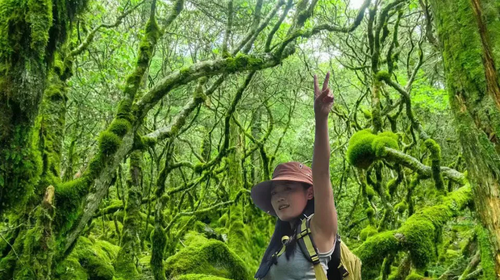 【又见云南 · 云南虫谷7日】哀牢山秘境+翁丁原始部落+西盟龙摩爷+音乐老达保+景迈山古茶园+翁基古寨+糯干古寨+景真八角亭深度游