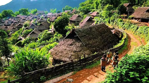 【又见云南 · 云南虫谷7日】哀牢山秘境+翁丁原始部落+西盟龙摩爷+音乐老达保+景迈山古茶园+翁基古寨+糯干古寨+景真八角亭深度游