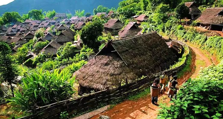 【又见云南 · 云南虫谷7日】哀牢山秘境+翁丁原始部落+西盟龙摩爷+音乐老达保+景迈山古茶园+翁基古寨+糯干古寨+景真八角亭深度游