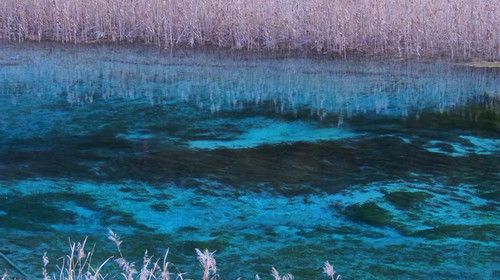 【大美九寨】童话川北8人VIP小团 · 赠驻地旅拍 · 观冰瀑蓝冰九寨沟+三星堆+毕棚沟+达古冰川+平武报恩寺+古尔沟温泉6日·半自由行