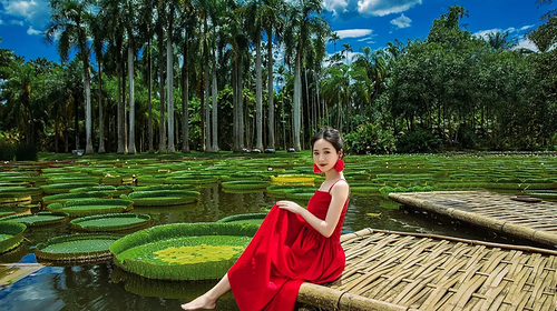 【又见云南·象往版纳7日】昆明+普洱+太阳河小熊猫+景迈山+西双版纳+总佛寺+野象谷+中科院+热带雨林徒步+星光夜市7日游