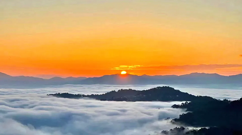 【又见云南·象往版纳7日】昆明+普洱+太阳河小熊猫+景迈山+西双版纳+总佛寺+野象谷+中科院+热带雨林徒步+星光夜市7日游