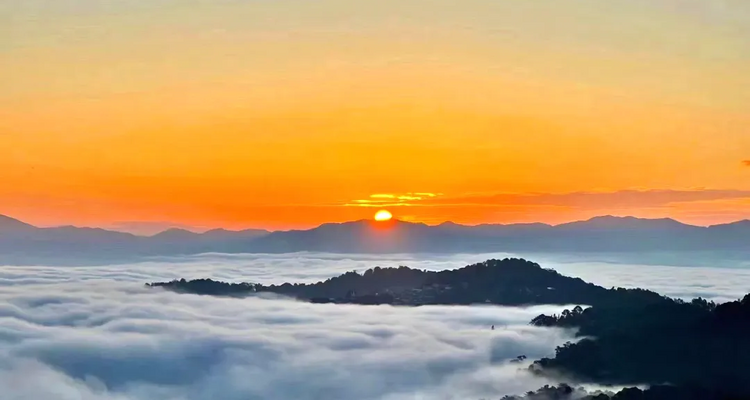 【又见云南·象往版纳7日】昆明+普洱+太阳河小熊猫+景迈山+西双版纳+总佛寺+野象谷+中科院+热带雨林徒步+星光夜市7日游