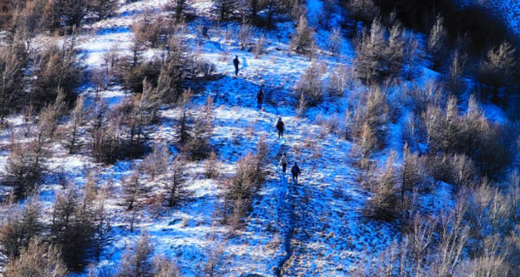 【北京100公里山野·西南灵站】踏雪西南灵徒步之旅 体弱/新人/小白勿报