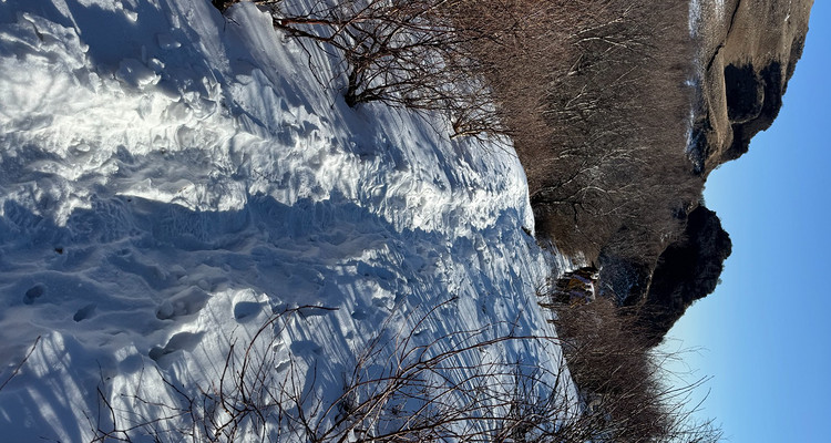 【北京一周一山·北灵山】打卡京郊”阿勒泰“+踏浪高山草甸+邂逅云海+开启狂欢派对~