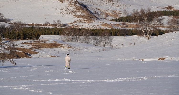 【乌兰布统冬·冰雪梦幻3日】春节特辑丨越野车穿越雪原+湖面冬捕+鄂温克驯鹿+多重冰雪体验+一价全含+赠送篝火烟花！