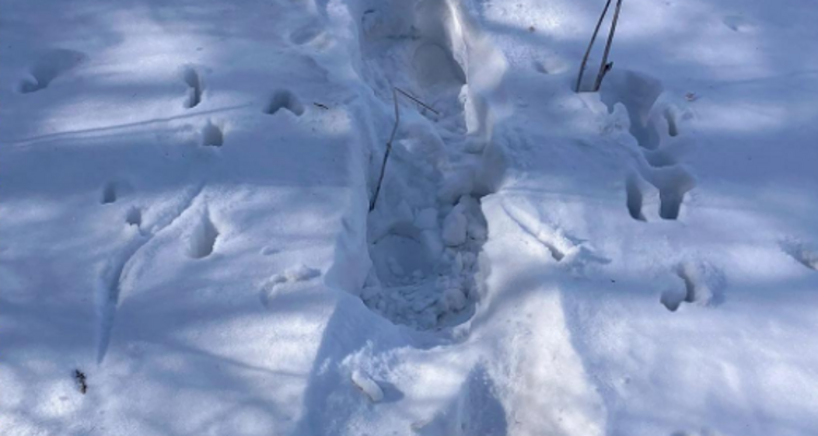 【北京100公里山野·西南灵站】踏雪西南灵徒步之旅 体弱/新人/小白勿报