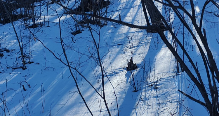 【北京一周一山·北灵山】打卡京郊”阿勒泰“+踏浪高山草甸+邂逅云海+开启狂欢派对~