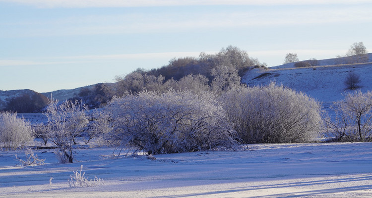 【乌兰布统冬·冰雪梦幻3日】春节特辑丨越野车穿越雪原+湖面冬捕+鄂温克驯鹿+多重冰雪体验+一价全含+赠送篝火烟花！