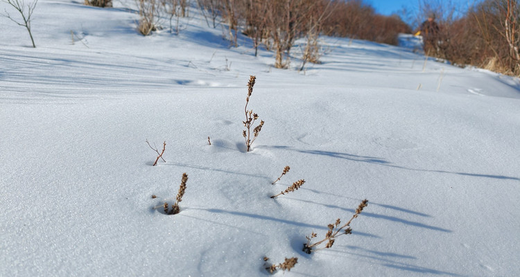 【北京一周一山·北灵山】打卡京郊”阿勒泰“+踏浪高山草甸+邂逅云海+开启狂欢派对~