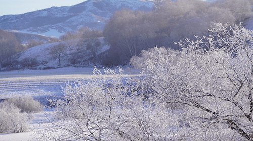 【乌兰布统冬·冰雪梦幻3日】春节特辑丨越野车穿越雪原+湖面冬捕+鄂温克驯鹿+多重冰雪体验+一价全含+赠送篝火烟花！