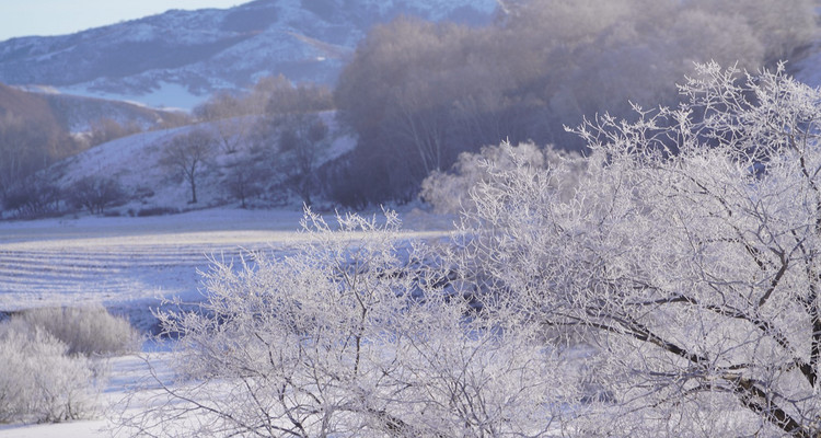 【乌兰布统冬·冰雪梦幻3日】春节特辑丨越野车穿越雪原+湖面冬捕+鄂温克驯鹿+多重冰雪体验+一价全含+赠送篝火烟花！